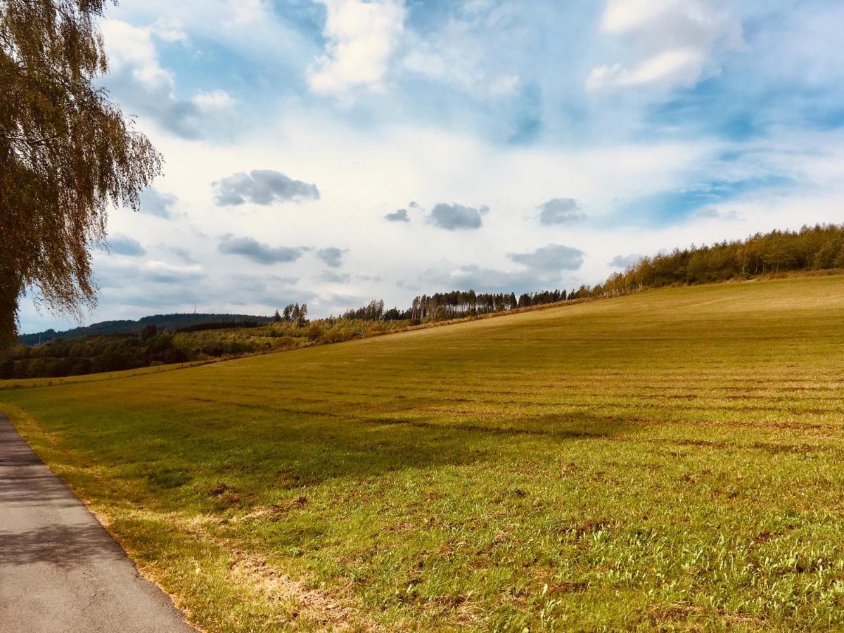 Ferienwohnung Am Pieperknapp in Olsberg Exterior foto